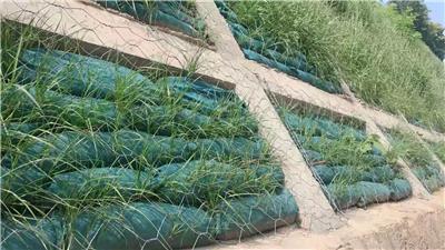 00元/千克南昌荒山植草復(fù)綠植生袋綠化護(hù)坡施工廈門(mén)三水園林綠化工程