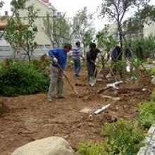  天津市天福園林綠化工程有限責(zé)任公司 主營(yíng) 苗木 花卉 綠化工程