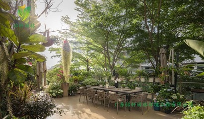 南海區大瀝鎮創意園7號樓屋頂花園綠化工程施工改造