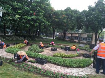 園林綠化 綠化工程 草坪種植養(yǎng)護 樹木修剪 花境種植 植物墻