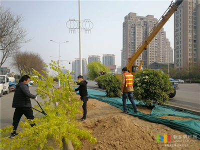 新鄉投資5845萬元 對市區道路進行綠化改造
