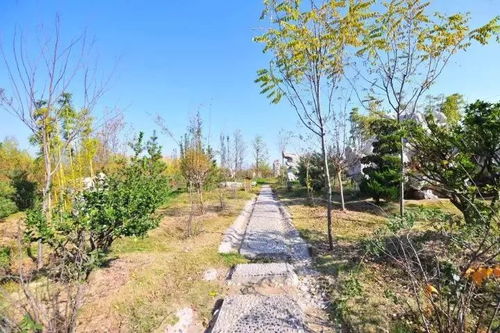 難得一見的園林綠化施工過程全記錄