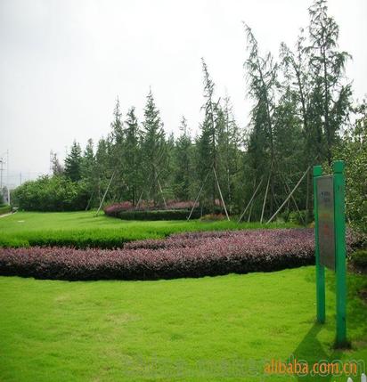 承攬綠化工程、園林施工、園林綠化工程養(yǎng)護(hù)