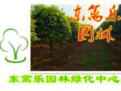 【58同城】東西湖花卉批發(fā)市場(chǎng)