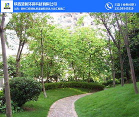 園林工程 清和園林專業(yè)團(tuán)隊(duì) 防風(fēng)沙園林工程