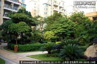 植物配置,花鏡設計參考實景圖片的圖片瀏覽,園林節(jié)點照片,綠化,園林景觀設計施工圖紙資料下載