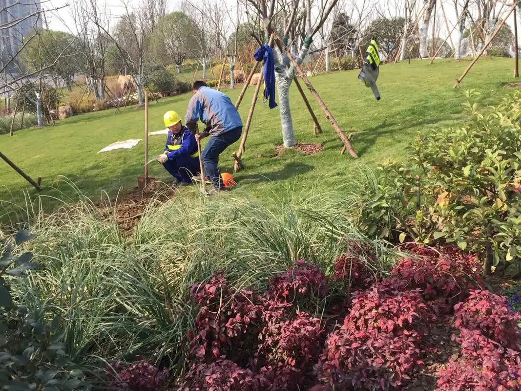 邊坡綠化工程 專業施工，筑造綠色家園的生態屏障
