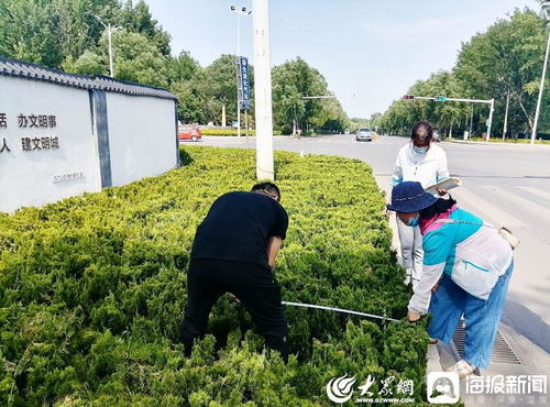 青州市園林綠化和環衛中心 卡準綠化施工精度尺，拉緊項目驗收質量繩——以高標準打造體育場地設施工程